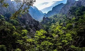 Rutas y circuitos por los Picos de Europa
